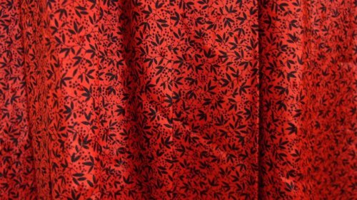 他の写真2: ボタニカル柄 長袖 レトロワンピース クレリックカラー[5210]