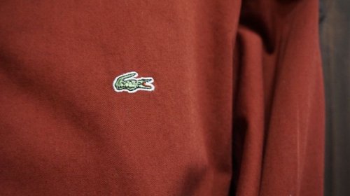 他の写真1: “ラコステ” カラー　コットンブラウス　スタンダードカラー[15210]