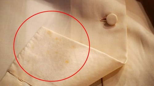 他の写真2: 無地 カラー 長袖ブラウス 刺繍 ラグラン袖 スタンドカラー[15258]