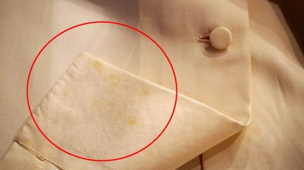 画像8: 無地 カラー 長袖ブラウス 刺繍 ラグラン袖 スタンドカラー[15258]