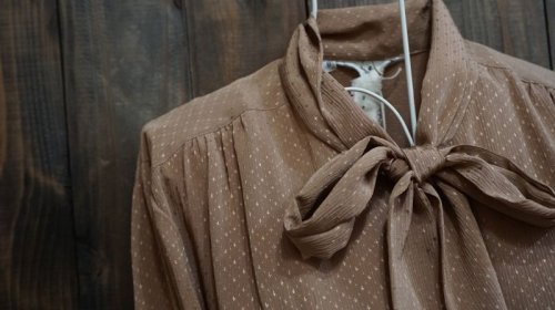 他の写真1: ブラウン系 長袖 ブラウス ボウタイカラー [15674]