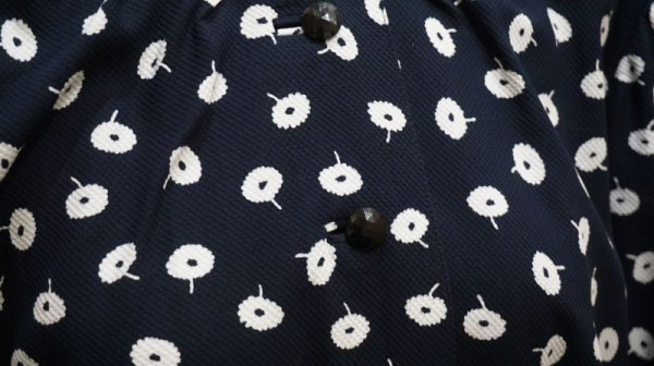 画像5: 花柄 黒×白 長袖 レトロワンピース ノーカラー[56148]