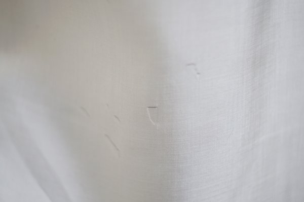 画像11: "Tokyo blouse" 白 長袖 ブラウス レースカラー[19388]