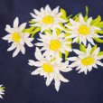 画像4: インポート 花柄 ネイビー系 ミニ スカーフ 58cm×58cm[19891]
