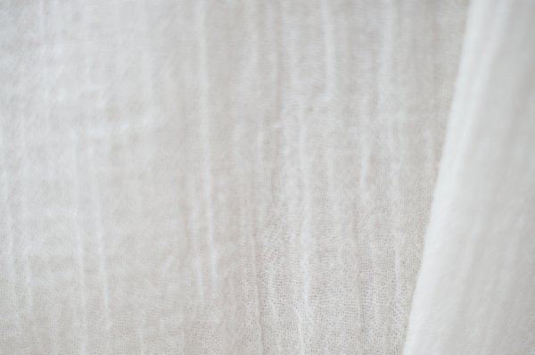 画像9: "ECHO" 無地 白 七分袖 ブラウス タイニーカラー レース ピンタック [20216]