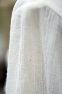 他の写真2: "ECHO" 無地 白 七分袖 ブラウス タイニーカラー レース ピンタック [20216]