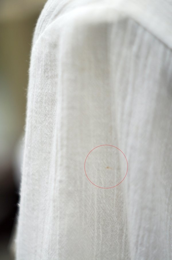 画像7: "ECHO" 無地 白 七分袖 ブラウス タイニーカラー レース ピンタック [20216]